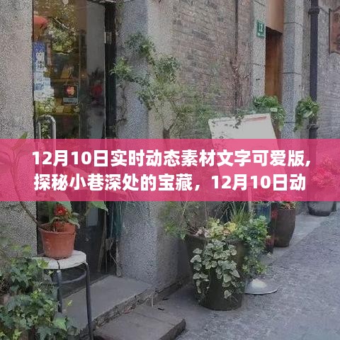 探秘宝藏小巷，12月10日动态素材文字下的可爱小店实时探秘