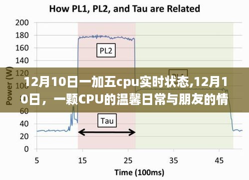 12月10日，一颗CPU的温馨日常与情感纽带之旅