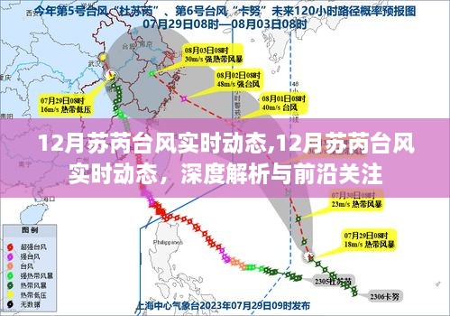 2024年12月12日 第87页