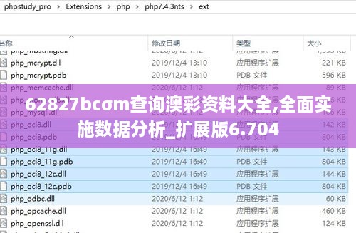 62827bcσm查询澳彩资料大全,全面实施数据分析_扩展版6.704