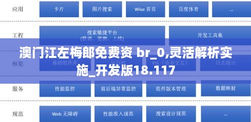 澳门江左梅郎免费资 br_0,灵活解析实施_开发版18.117