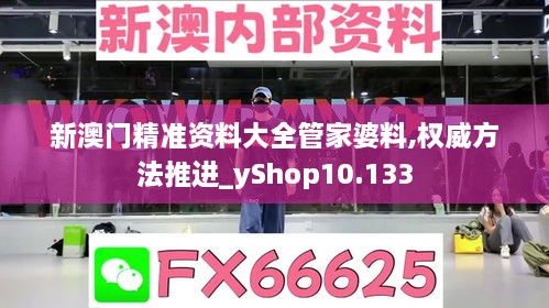 新澳门精准资料大全管家婆料,权威方法推进_yShop10.133