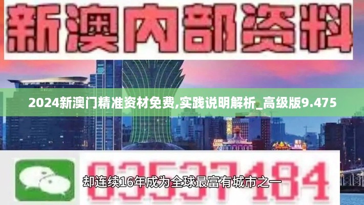 2024新澳门精准资材免费,实践说明解析_高级版9.475