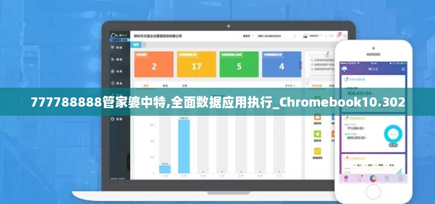 777788888管家婆中特,全面数据应用执行_Chromebook10.302