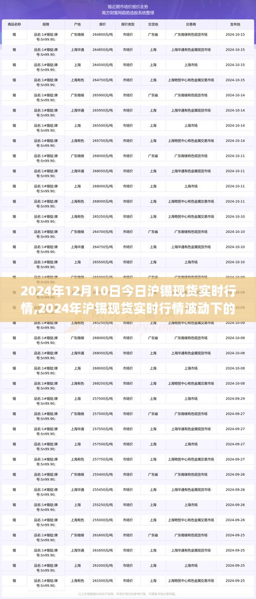 2024年沪锡现货实时行情观察与个人观点，市场波动下的市场洞察