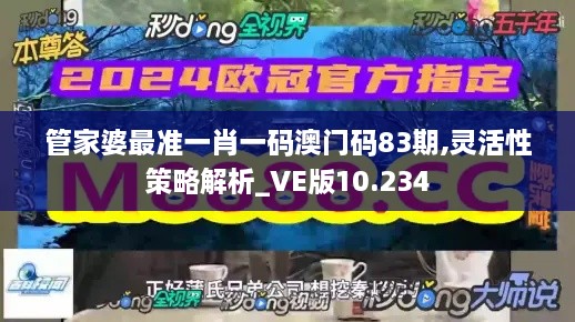 管家婆最准一肖一码澳门码83期,灵活性策略解析_VE版10.234