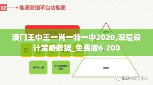 澳门王中王一肖一特一中2020,深层设计策略数据_免费版6.200