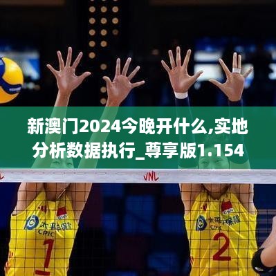 新澳门2024今晚开什么,实地分析数据执行_尊享版1.154