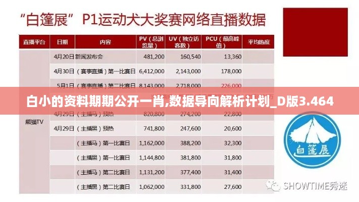 白小的资料期期公开一肖,数据导向解析计划_D版3.464