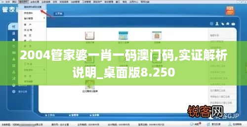 2004管家婆一肖一码澳门码,实证解析说明_桌面版8.250