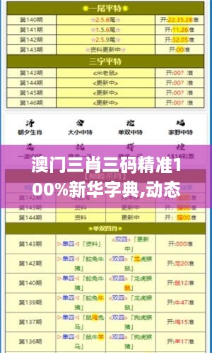 澳门三肖三码精准100%新华字典,动态说明分析_限量款8.134