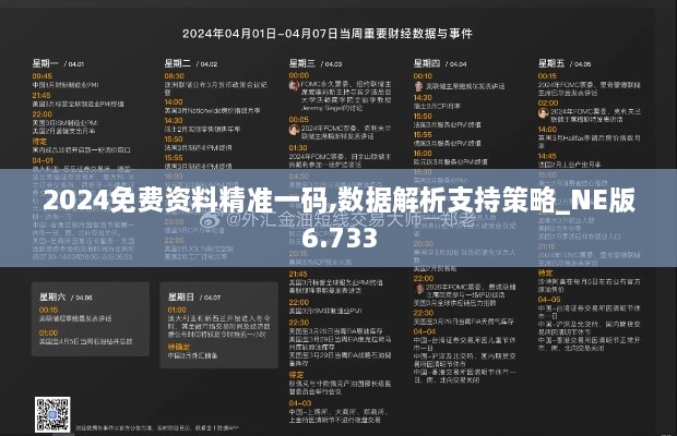 2024免费资料精准一码,数据解析支持策略_NE版6.733