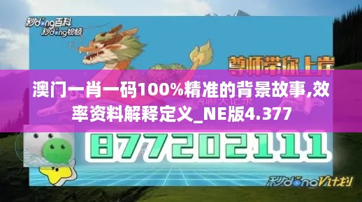 澳门一肖一码100%精准的背景故事,效率资料解释定义_NE版4.377