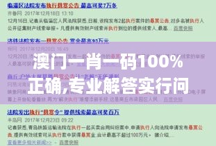 澳门一肖一码100%正确,专业解答实行问题_S19.940