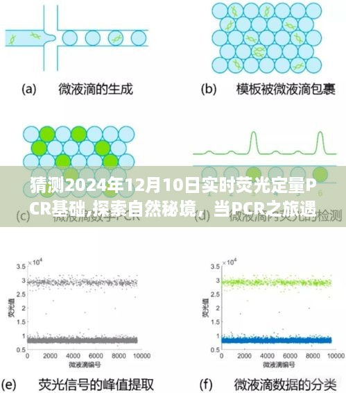 探索自然秘境，PCR技术与心灵之旅的交融——2024年实时荧光定量PCR基础研讨会暨心灵启示日