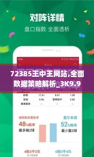 72385王中王网站,全面数据策略解析_3K9.935