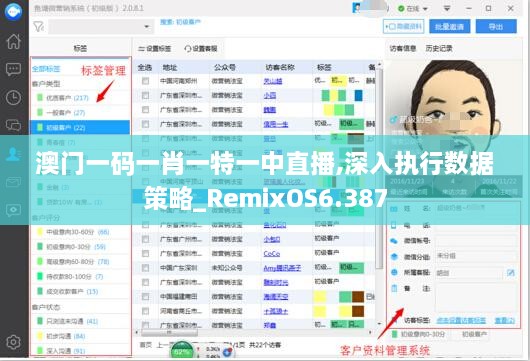 澳门一码一肖一特一中直播,深入执行数据策略_RemixOS6.387