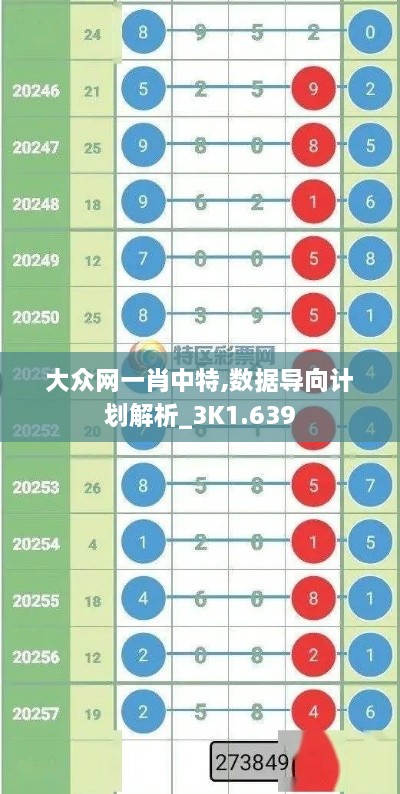 大众网一肖中特,数据导向计划解析_3K1.639