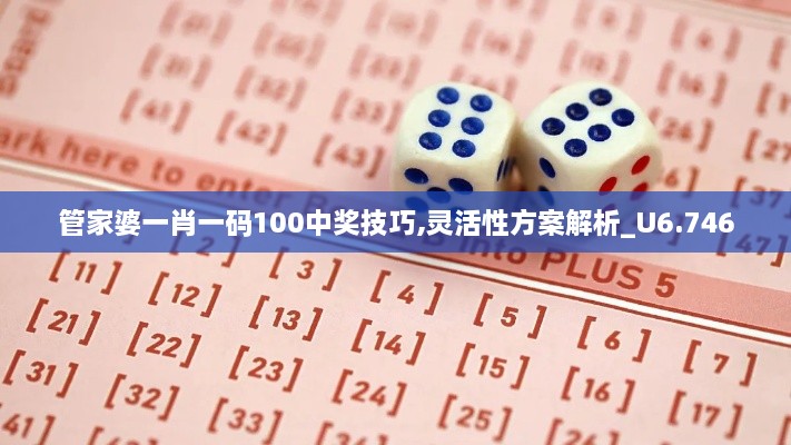 管家婆一肖一码100中奖技巧,灵活性方案解析_U6.746