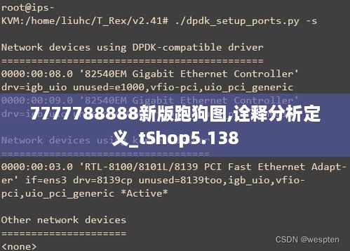 7777788888新版跑狗图,诠释分析定义_tShop5.138