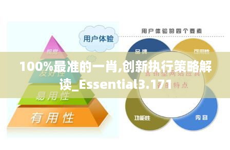 100%最准的一肖,创新执行策略解读_Essential3.171