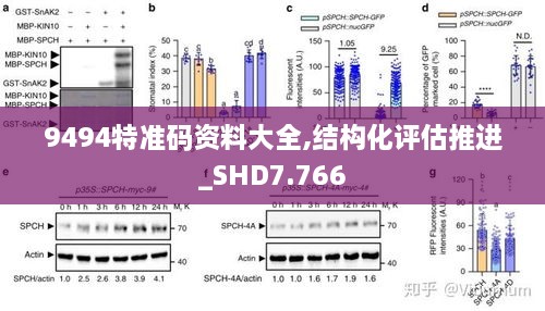 9494特准码资料大全,结构化评估推进_SHD7.766