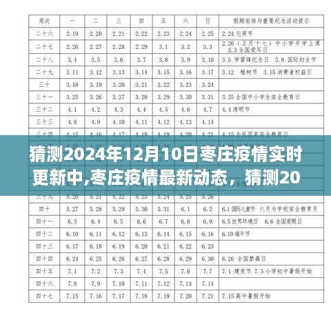 枣庄疫情最新动态，深度解读与实时更新预测（至2024年12月）