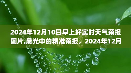 晨光中的精准预报，2024年12月10日实时天气预报图片