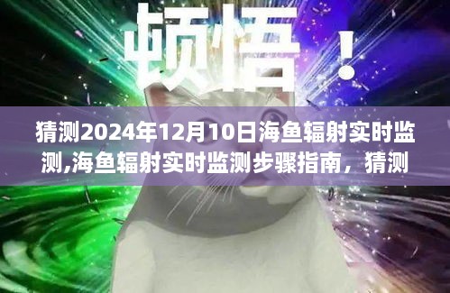 海鱼辐射实时监测步骤指南，预测与操作指南到2024年12月10日