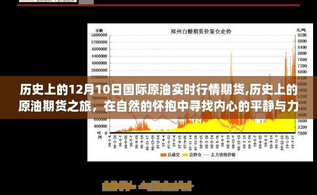 2024年12月12日 第9页