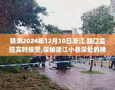 探秘浙江小巷神秘小店，未来路口监控实时报警之旅（预测2024年12月10日）