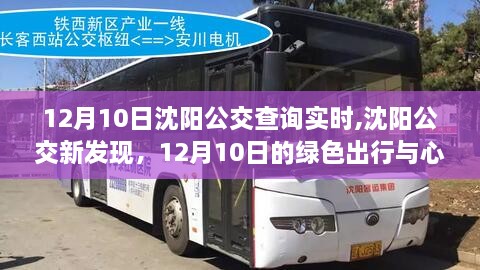 沈阳公交新发现，绿色出行与心灵宁静之旅（12月10日实时查询）