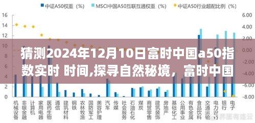 探寻自然秘境，富时中国A50指数之旅启程于心灵洗涤的2024年12月时光点揭秘富时中国A50指数实时动态