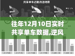 历年12月10日共享单车数据解析，逆风成长之路的启示与成长