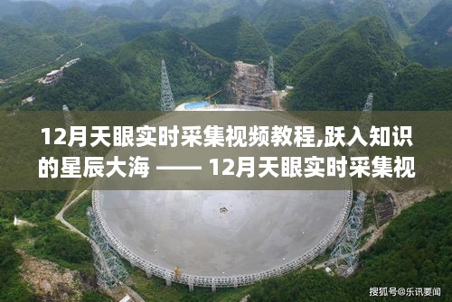 跃入知识的星辰大海，12月天眼实时采集视频教程助你走向自信与成就之路