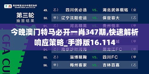 今晚澳门特马必开一肖347期,快速解析响应策略_手游版16.114