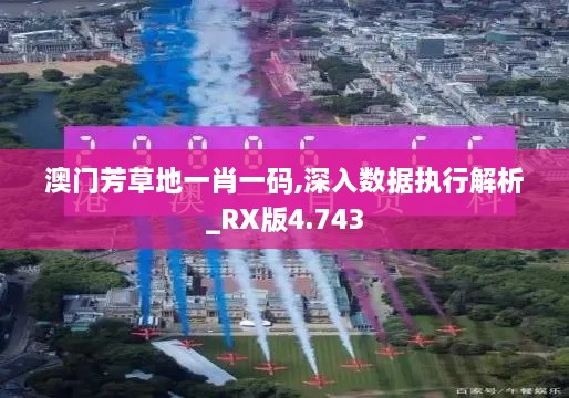 澳门芳草地一肖一码,深入数据执行解析_RX版4.743