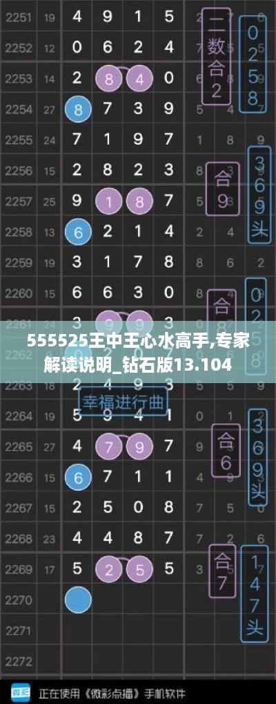 555525王中王心水高手,专家解读说明_钻石版13.104