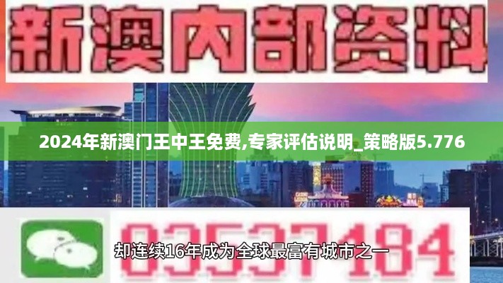 2024年新澳门王中王免费,专家评估说明_策略版5.776