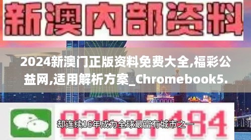 2024新澳门正版资料免费大全,福彩公益网,适用解析方案_Chromebook5.295