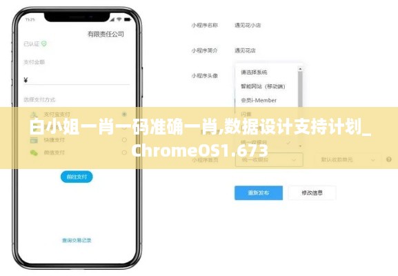 白小姐一肖一码准确一肖,数据设计支持计划_ChromeOS1.673