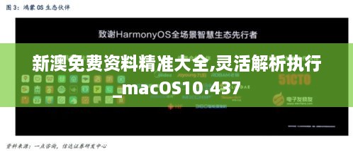 新澳免费资料精准大全,灵活解析执行_macOS10.437