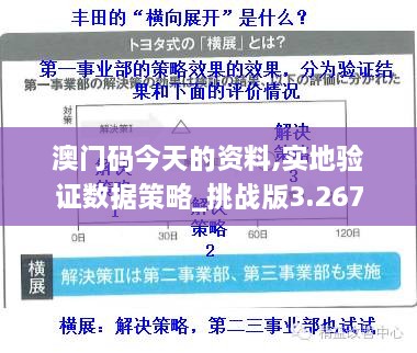 澳门码今天的资料,实地验证数据策略_挑战版3.267