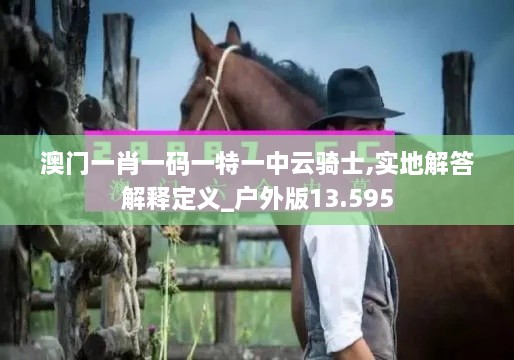 澳门一肖一码一特一中云骑士,实地解答解释定义_户外版13.595