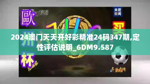 2024澳门天天开好彩精准24码347期,定性评估说明_6DM9.587