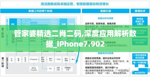 管家婆精选二肖二码,深度应用解析数据_iPhone7.902