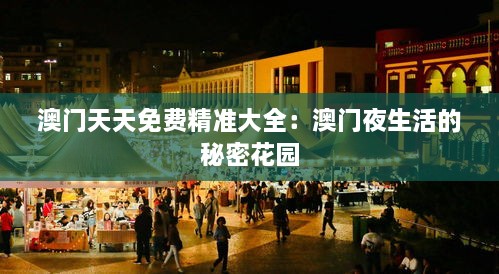 澳门天天免费精准大全：澳门夜生活的秘密花园