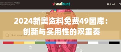 2024新奥资料免费49图库： 创新与实用性的双重奏