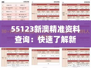 55123新澳精准资料查询：快速了解新澳市场的法宝