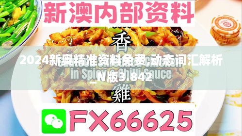 2024新奥精准资料免费,动态词汇解析_N版3.842